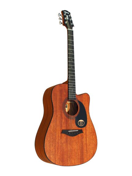 Westwood DC-8 M Acoustic Guitar