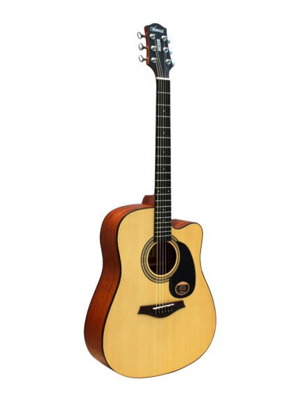 Westwood DC-8 Acoustic Guitar