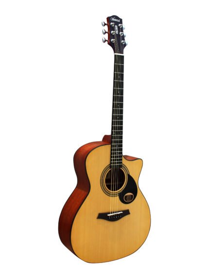 Westwood GC-8 Acoustic Guitar