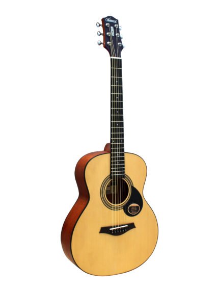 Westwood JR-8 Acoustic Guitar